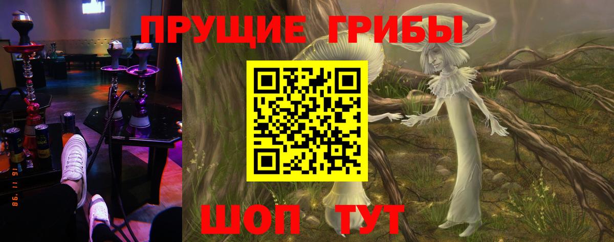продажа наркотиков  Галлюциногенные грибы ЛСД  Вход с VPN  Нижний Тагил 